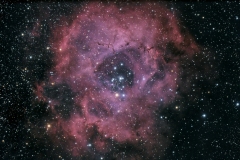 NGC_2244_20250118_Rosettennebel-St_V1
