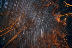 langes-StartrailV4
